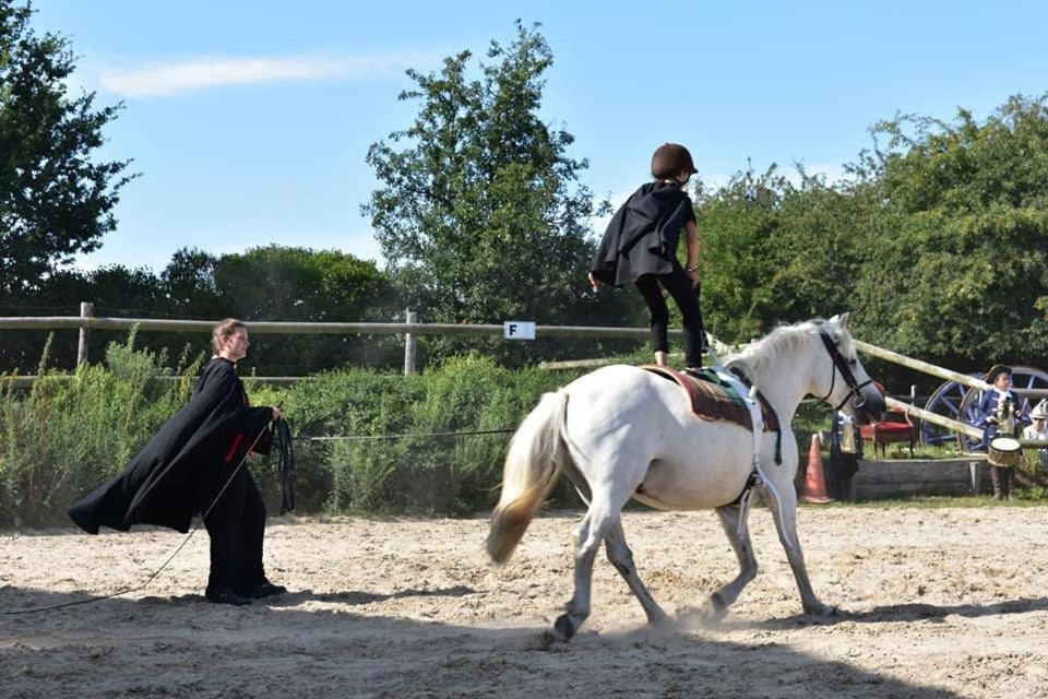 Ecuries Leseigneur - Camping Insolites ボワシエール エクステリア 写真